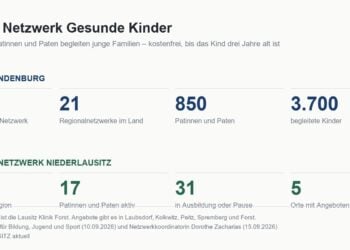 Grafik mit Kennzahlen zum Netzwerk Gesunde Kinder