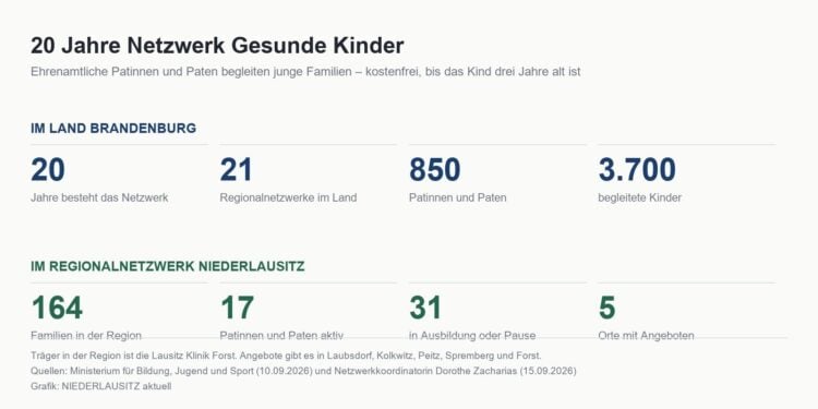 Grafik mit Kennzahlen zum Netzwerk Gesunde Kinder