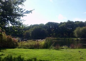 Wiese und Weiher im Spreeauenpark in Cottbus