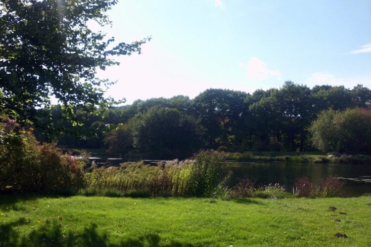 Wiese und Weiher im Spreeauenpark in Cottbus