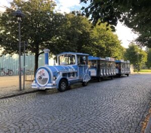 Mit Bus und Seeschlange durch das Lausitzer Seenland