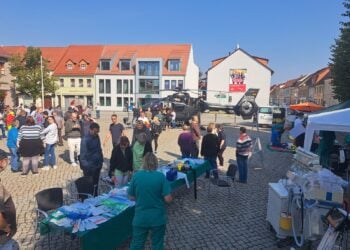 Besucher üben an einer Puppe die Herzdruckmassage