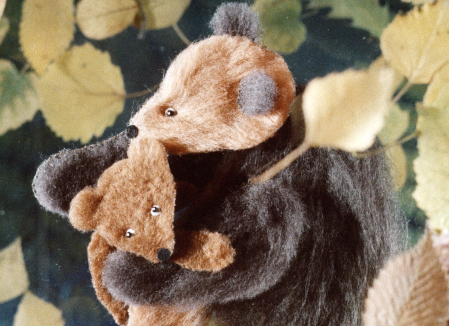 Junger Bär im Herbstlaub aus dem Film Herbstmärchen im Spatzenkino