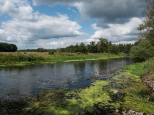NABU lehnt Elbüberleitung ab und fordert Renaturierung der Spree