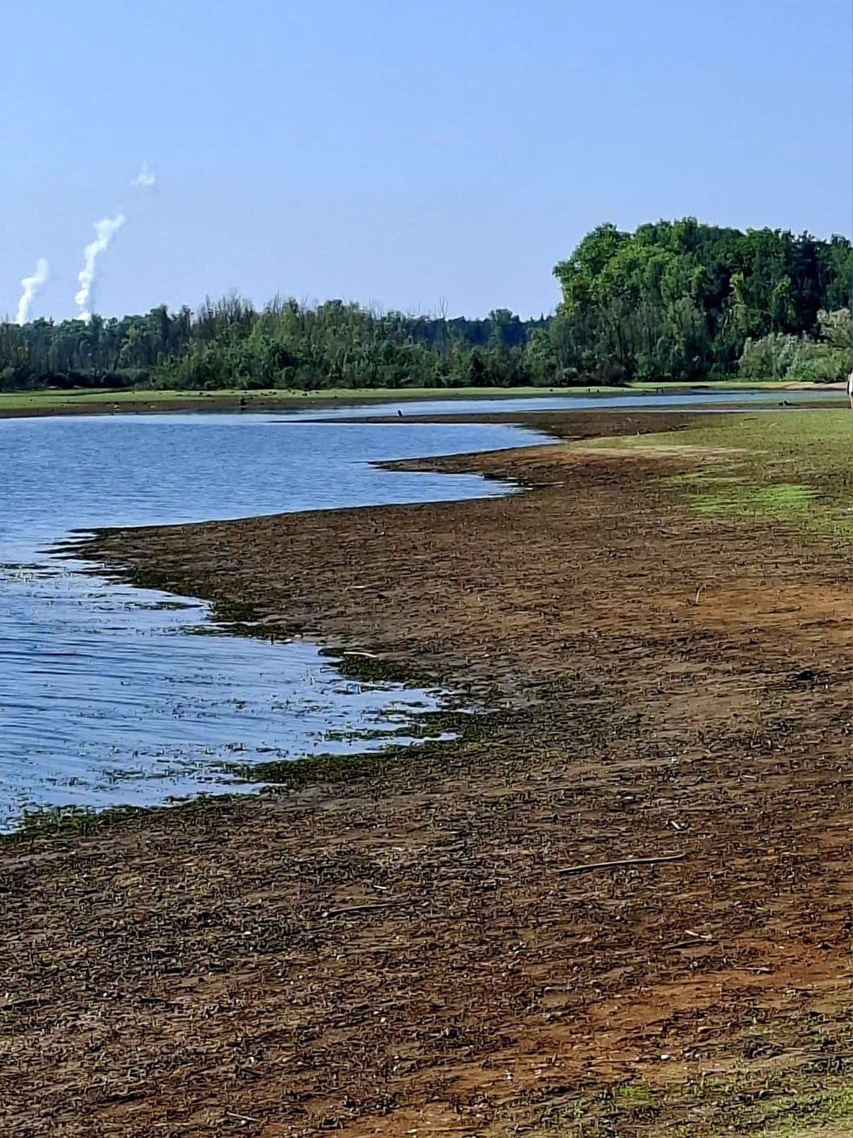 Freiliegendes Ufer an der Spree, das Wassergesetz soll den Wasserrückhalt stärken