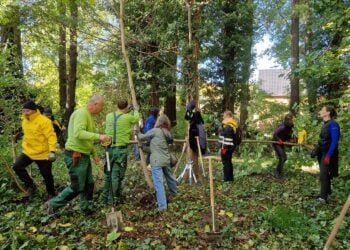 Freiwillige arbeiten beim Parkseminar im Branitzer Park 2025 mit Spaten und Werkzeug zwischen den Bäumen
