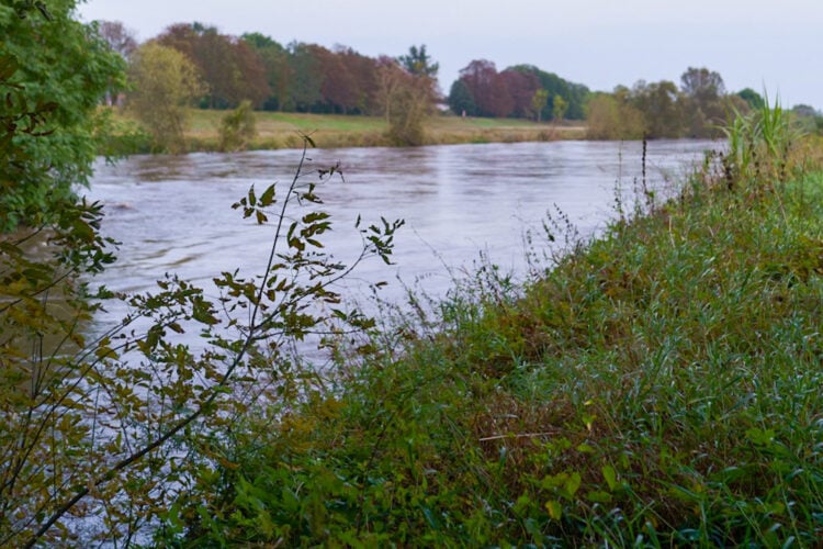 Symbolbild Hochwasser (Blaulichtreport Lausitz)