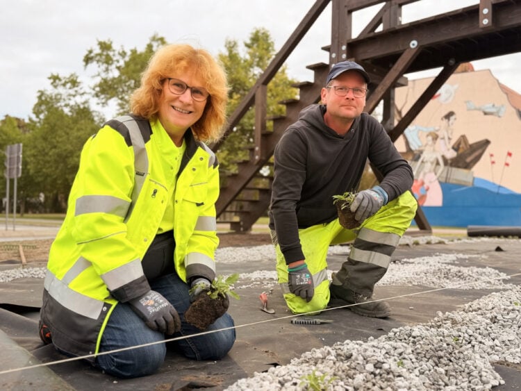 Bild: Stadt Lübben B. Möbes