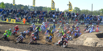 Bild: Thorsten Horn