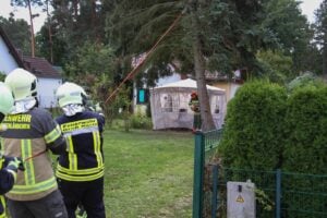Feuerwehr fällt instabilen Baum in Klein Köris
