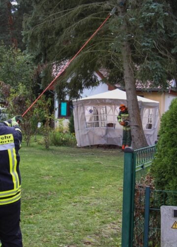 Einsatzkräfte der Feuerwehr am instabilen Baum in Klein Köris