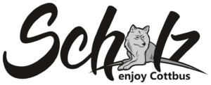 Logo E-Center Scholz