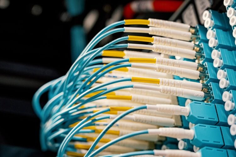 Zahlreiche türkisfarbene Glasfaserkabel mit Steckern an einem Netzwerk-Patchfeld