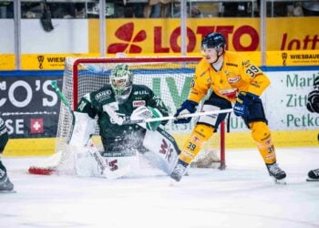 Lausitzer Füchse im Angriff vor dem Tor der Bietigheim Steelers