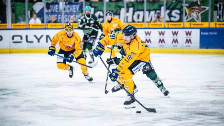 Lausitzer Füchse in Bietigheim beim zweiten Spieltag der DEL2