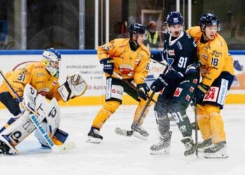 Anthony Morrone und die Lausitzer Füchse verteidigen in der Probonio Arena Kassel