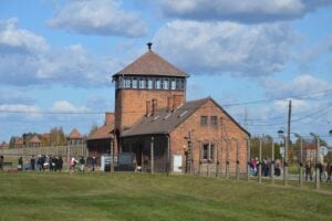 Ausstellung „Kinder von Auschwitz“ wird in Cottbus eröffnet