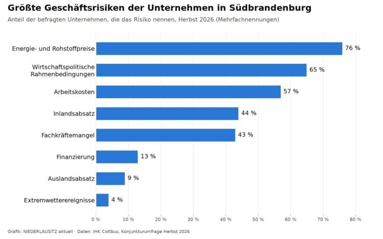 Balkengrafik der Geschäftsrisiken: Energie- und Rohstoffpreise 76 Prozent, Rahmenbedingungen 65, Arbeitskosten 57, Inlandsabsatz 44 Prozent