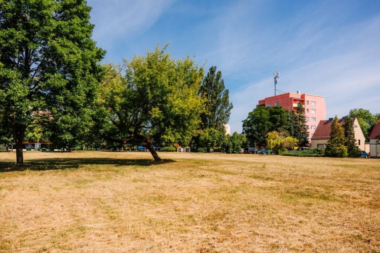 Unbebaute Rasenfläche mit Bäumen an der Luckauer Straße, im Hintergrund ein Wohnhochhaus