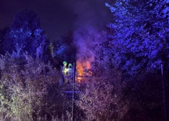 Zwei Feuerwehrleute mit Helmen hinter einem Maschendrahtzaun, daneben brennende Holzpaletten zwischen Büschen bei Nacht