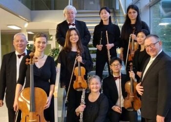 Musikerinnen und Musiker des Brandenburgischen Konzertorchesters Eberswalde mit Cello, Violinen, Flöte und Klarinette auf einer Treppe