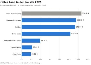 Balkengrafik zum durchschnittlichen Kaufwert für baureifes Land 2025 je Quadratmeter in Dahme-Spreewald, Cottbus, Oder-Spree, Oberspreewald-Lausitz, Spree-Neiße und Elbe-Elster im Vergleich zum Land Brandenburg