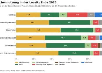 Gestapelte Balkengrafik zur Flächennutzung Ende 2025 in Cottbus, Dahme-Spreewald, Elbe-Elster, Oberspreewald-Lausitz, Spree-Neiße und im Land Brandenburg mit den Anteilen von Landwirtschaft, Wald, übriger Vegetation, Siedlung, Tagebau, Verkehr und Gewässern