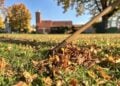 Herbstlaub und eine Harke auf einer Wiese in Lübben