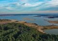 Luftbild der Talsperre Quitzdorf mit Wasserflächen, Sandbänken und Kiefernwald im Vordergrund