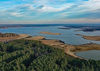 Luftbild der Talsperre Quitzdorf mit Wasserflächen, Sandbänken und Kiefernwald im Vordergrund