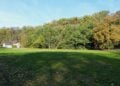 Wiese vor dem bewaldeten Hang des Georgenbergs in Spremberg im Herbst