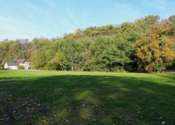 Wiese vor dem bewaldeten Hang des Georgenbergs in Spremberg im Herbst