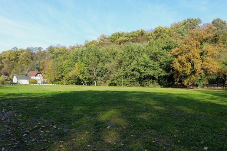 Wiese vor dem bewaldeten Hang des Georgenbergs in Spremberg im Herbst