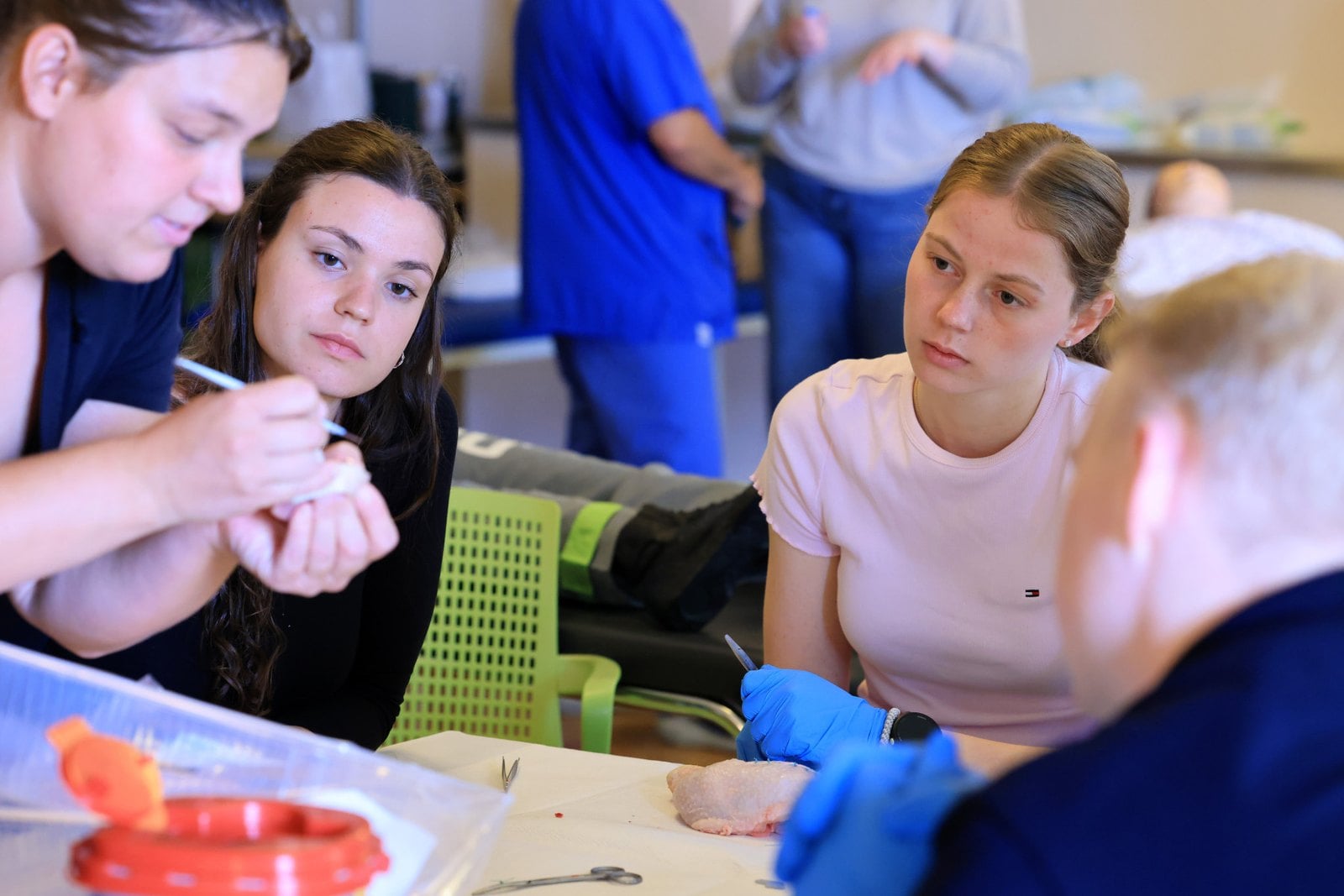 Medizinstudierende üben chirurgisches Nähen an Präparaten