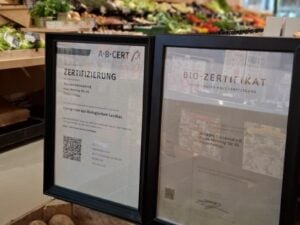 Berliner Öko-Kontrolleurin bleibt wegen Cottbus eine Nacht länger