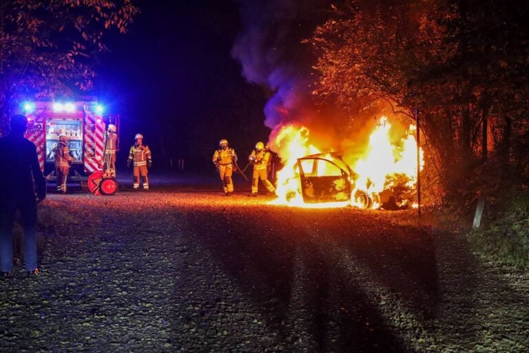 Feuerwehreinsatz am Parkplatz des Madlower Badesees in Cottbus