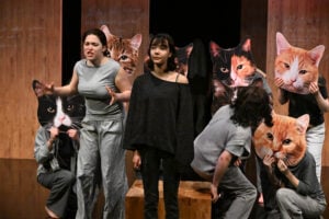 Piccolo Jugendklub aus Cottbus fährt zu bundesweitem Theatertreffen