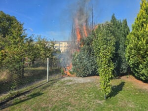 Heckenbrand in Lauchhammer: Feuerwehr berhindert größeren Schaden