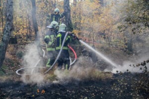 200 Quadratmeter Wald bei Teupitz in Flammen
