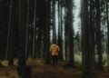 Person in gelber Jacke geht auf einem Waldweg durch einen herbstlichen Wald
