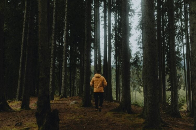 Person in gelber Jacke geht auf einem Waldweg durch einen herbstlichen Wald