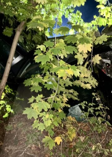 Zerstörte Front des Unfallwagens in Bohrau
